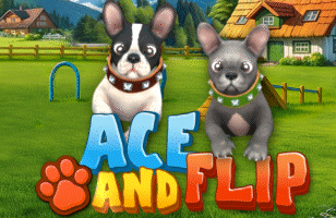 Ace and Flip